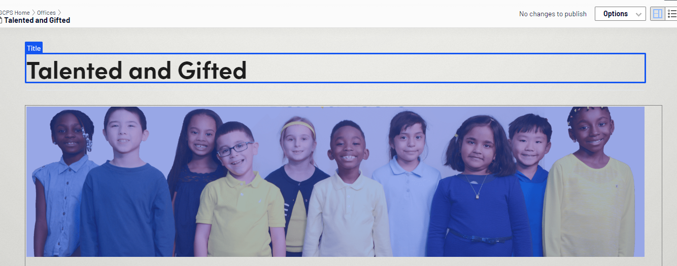 On-page Blue Box.png