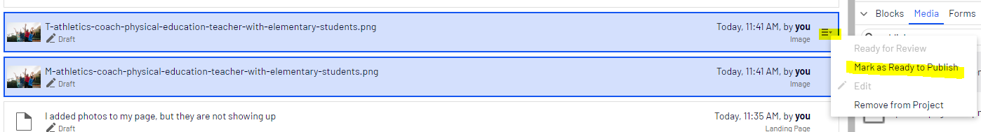 mark-items-ready-to-publish.PNG