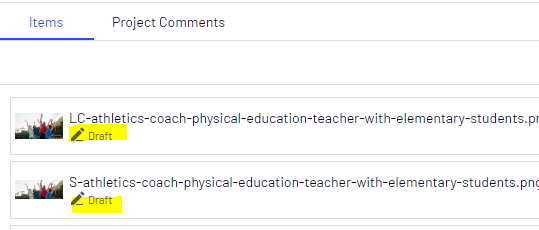 project-overview-draft-items.PNG